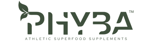 Phyba logo