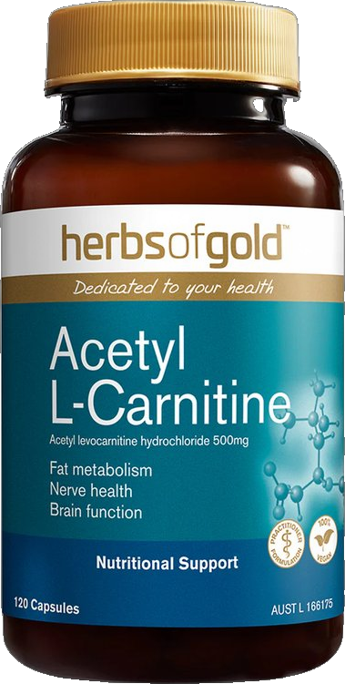 Acetyl L-Carnitine by Herbs of Gold