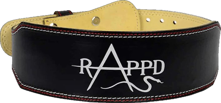 4 Pro Series Leather Weight Lifting Belt
