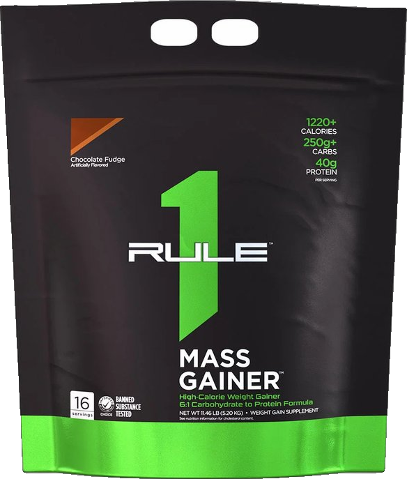 Mass Gainer