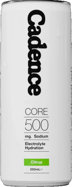 Core 500 Electrolyte RTD