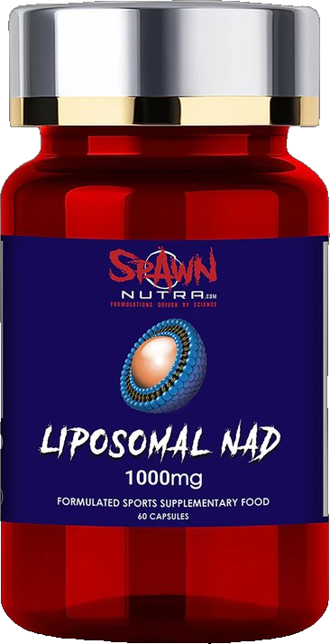 Liposomal NMN