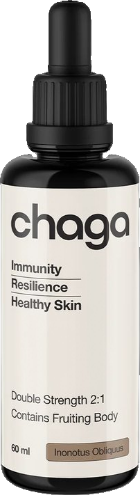 Chaga