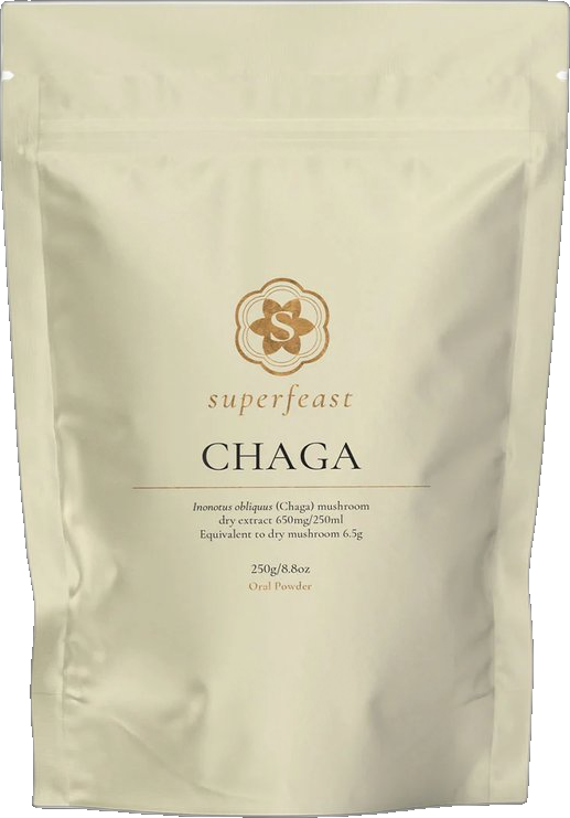 Chaga Mushroom