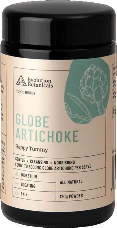 Globe Artichoke
