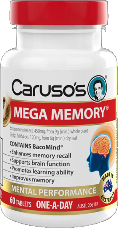 Mega Memory