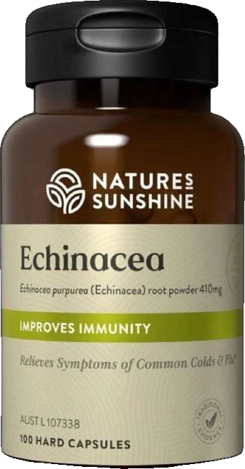 Echinacea